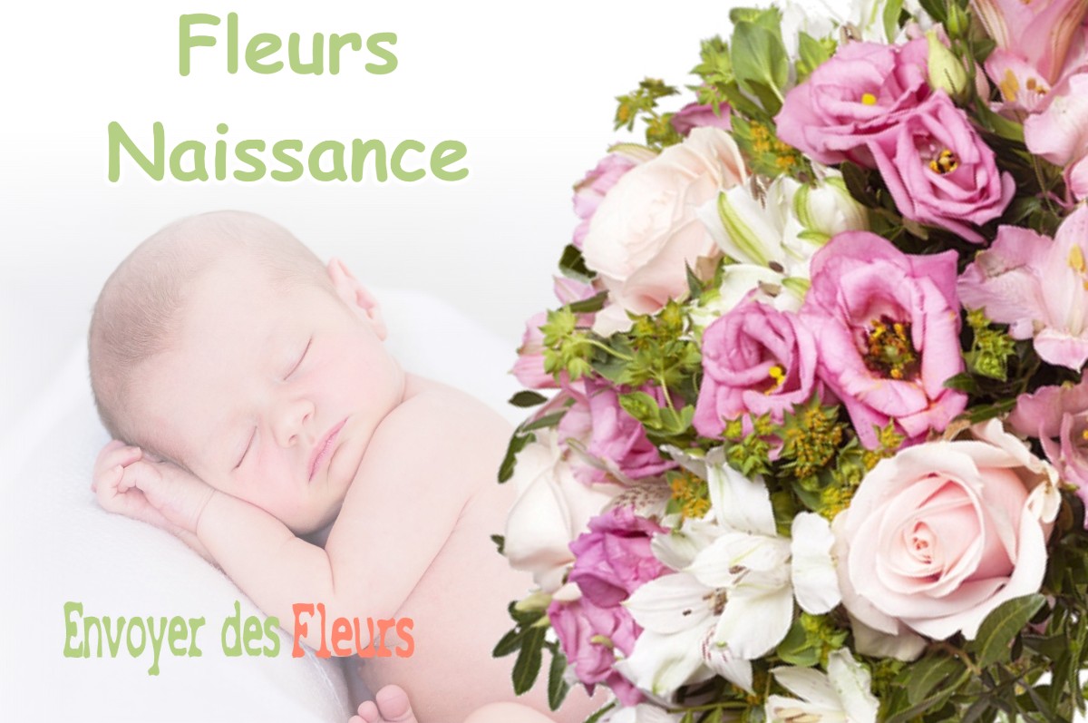 lIVRAISON FLEURS NAISSANCE à SAINT-PIERRE-DE-MEAROZ